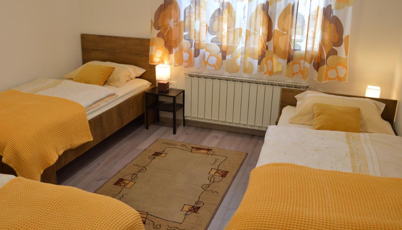 Apartma Vila Zigmund Cerknica ภายนอก รูปภาพ