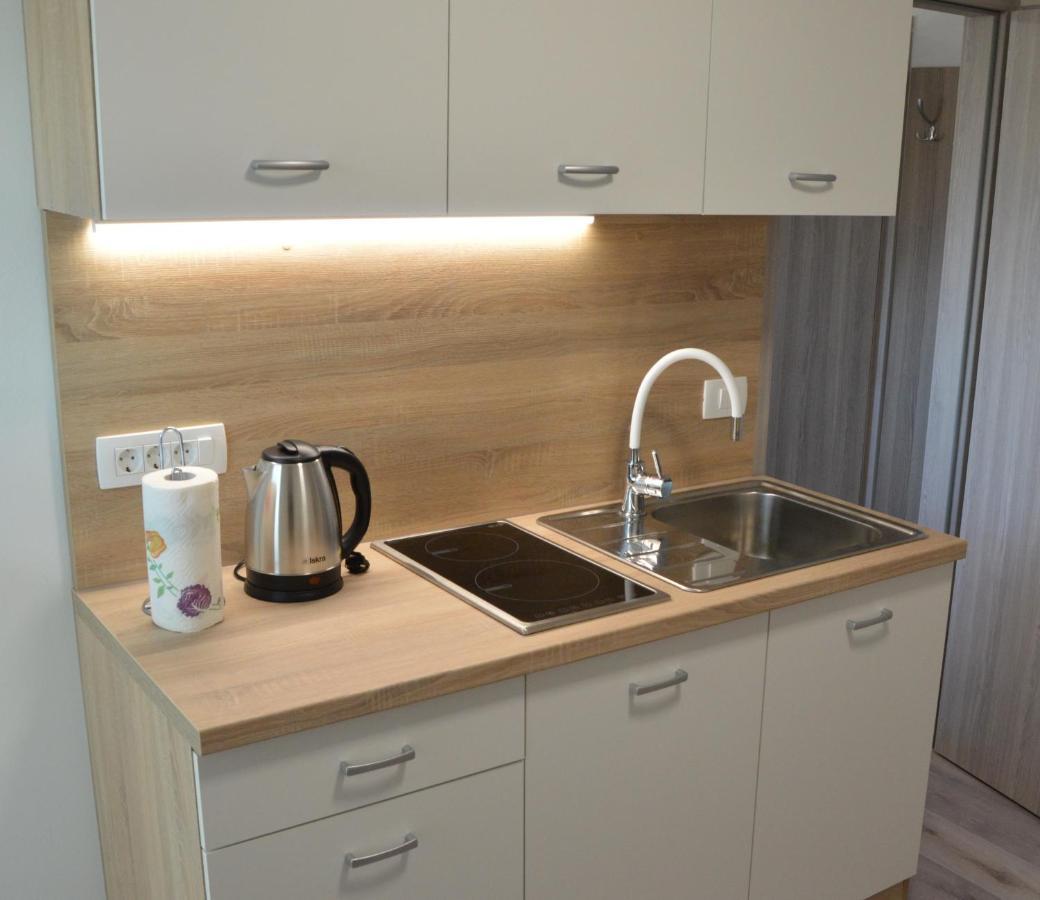 Apartma Vila Zigmund Cerknica ภายนอก รูปภาพ