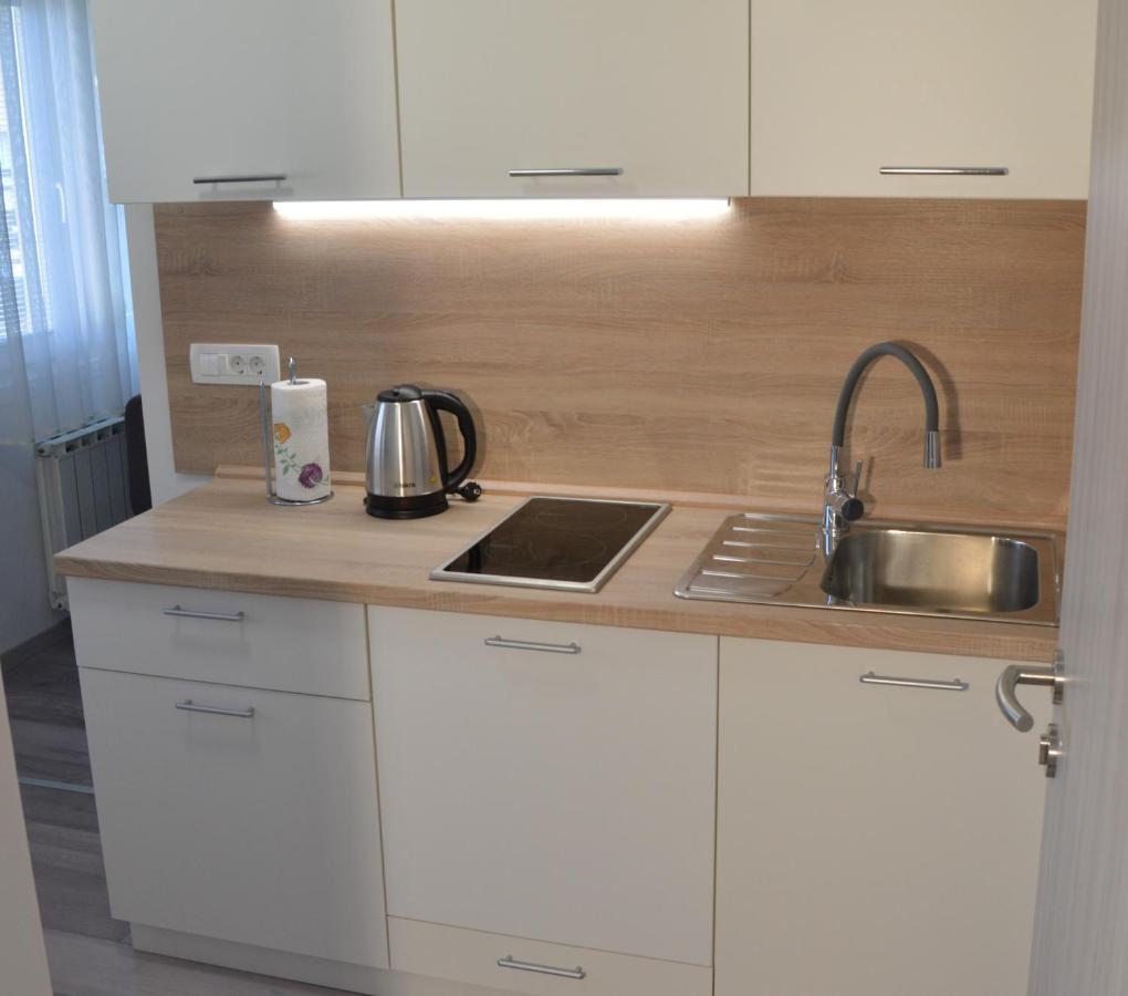 Apartma Vila Zigmund Cerknica ภายนอก รูปภาพ
