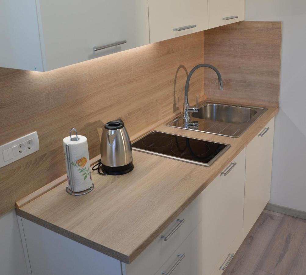 Apartma Vila Zigmund Cerknica ภายนอก รูปภาพ